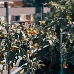 Xanthates Escape Vakantiehuis