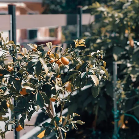 Xanthates Escape Дом отдыха